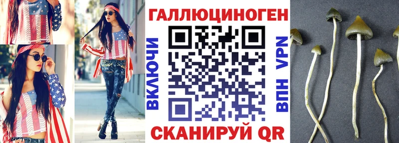 Псилоцибиновые грибы Psilocybine cubensis  mega ТОР  Северская 
